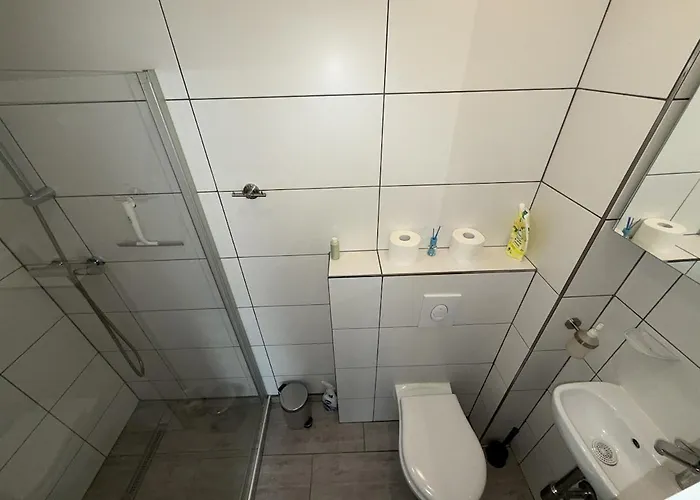 1-zimmer-apartment Mit Garten In Wü-heidingsfeld Würzburg