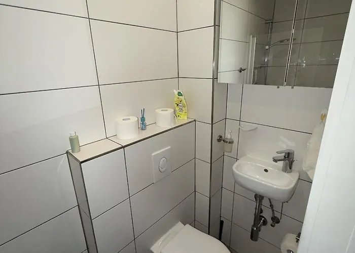 1-zimmer-apartment Mit Garten In Wü-heidingsfeld Würzburg